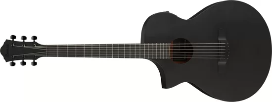 Ibanez AEWC621L BOT gaucher