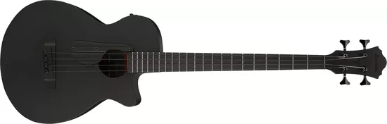 Ibanez AEGB420-BOT