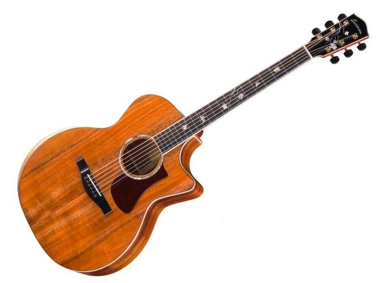 Eastman AC422CE-LTD-KOA Natural
