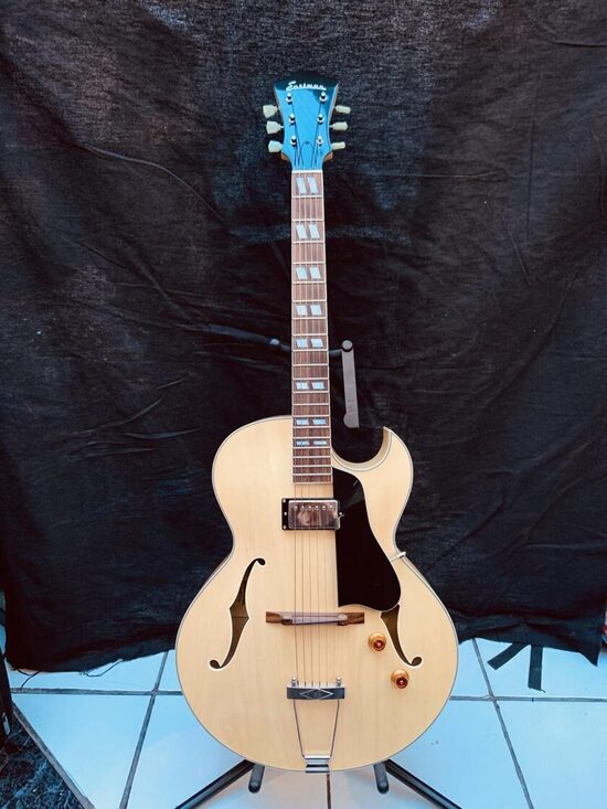 EASTMAN AR371CE BD occasion