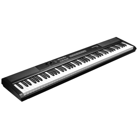 Kursweil S1