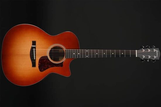 Eastman AC222CE-DLX-GB