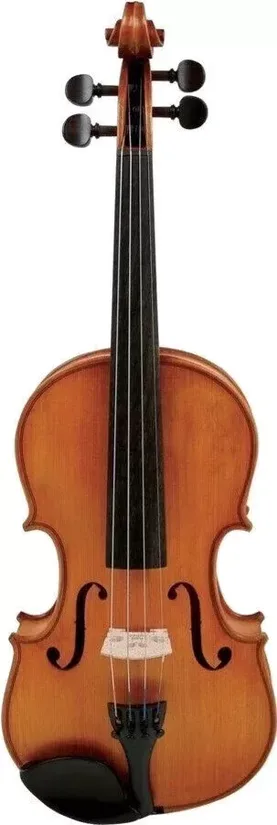 violon Gewa Aspirante Dresden 4/4 occasion