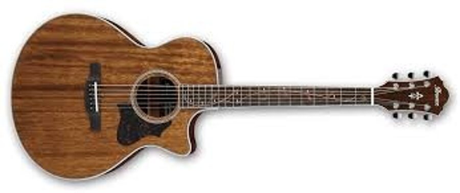 Ibanez AE245NT