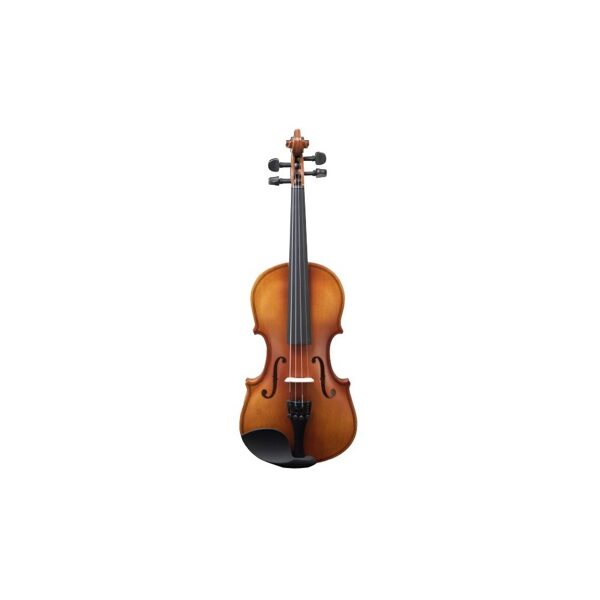 Violon amadeus 1/4 vieilli