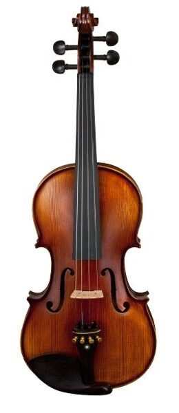violon Amadeus HV300 4/4 monté